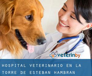 Hospital veterinario en La Torre de Esteban Hambrán Hospital veterinario en La Torre de Esteban Hambrán