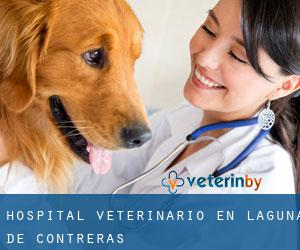 Hospital veterinario en Laguna de Contreras