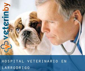 Hospital veterinario en Larrodrigo