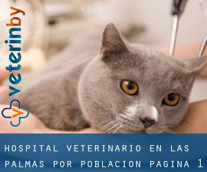 Hospital veterinario en Las Palmas por población - página 1