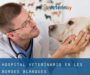 Hospital veterinario en les Borges Blanques