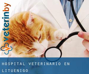 Hospital veterinario en Lituénigo
