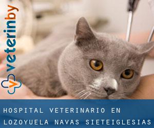Hospital veterinario en Lozoyuela-Navas-Sieteiglesias