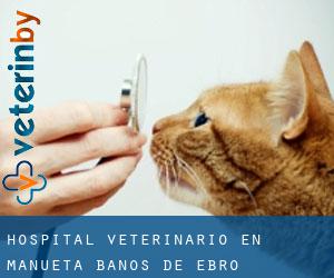 Hospital veterinario en Mañueta / Baños de Ebro