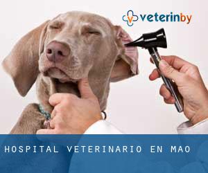 Hospital veterinario en Maó