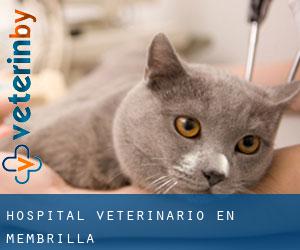 Hospital veterinario en Membrilla