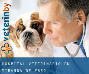 Hospital veterinario en Miranda de Ebro