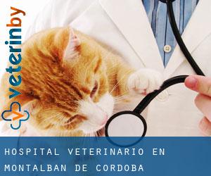 Hospital veterinario en Montalbán de Córdoba