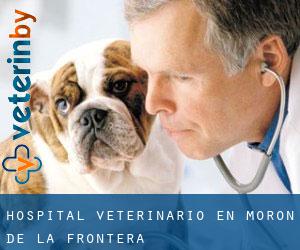 Hospital veterinario en Morón de la Frontera