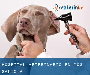 Hospital veterinario en Mos (Galicia)