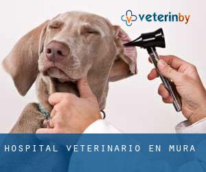 Hospital veterinario en Mura