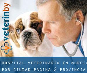 Hospital veterinario en Murcia por ciudad - página 2 (Provincia)
