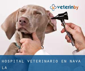 Hospital veterinario en Nava (La)