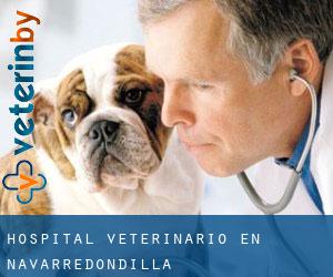 Hospital veterinario en Navarredondilla