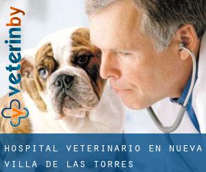 Hospital veterinario en Nueva Villa de las Torres