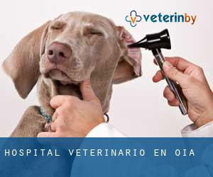 Hospital veterinario en Oia
