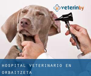 Hospital veterinario en Orbaitzeta