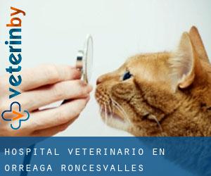 Hospital veterinario en Orreaga / Roncesvalles