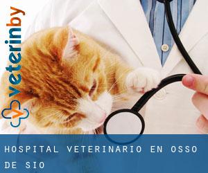 Hospital veterinario en Ossó de Sió