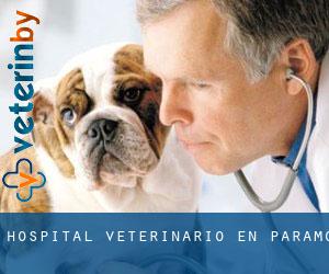 Hospital veterinario en Páramo