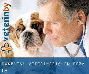 Hospital veterinario en Peza (La)