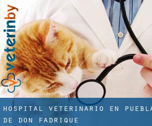 Hospital veterinario en Puebla de Don Fadrique Hospital veterinario en Puebla de Don Fadrique