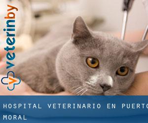 Hospital veterinario en Puerto Moral