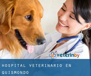 Hospital veterinario en Quismondo Hospital veterinario en Quismondo