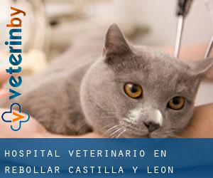 Hospital veterinario en Rebollar (Castilla y León)