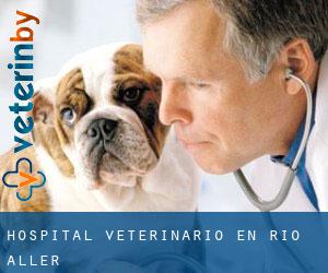 Hospital veterinario en Río Aller
