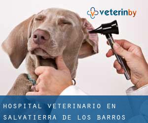 Hospital veterinario en Salvatierra de los Barros