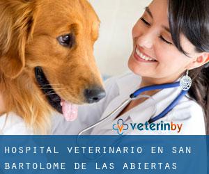 Hospital veterinario en San Bartolomé de las Abiertas Hospital veterinario en San Bartolomé de las Abiertas
