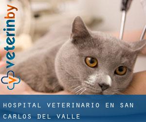 Hospital veterinario en San Carlos del Valle