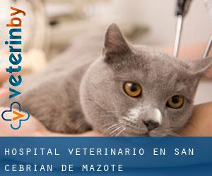 Hospital veterinario en San Cebrián de Mazote