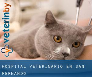 Hospital veterinario en San Fernando Hospital veterinario en San Fernando