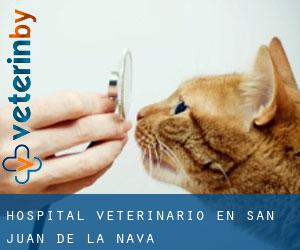 Hospital veterinario en San Juan de la Nava
