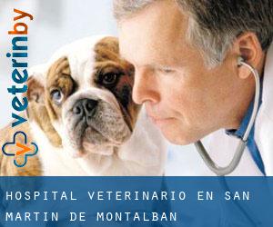 Hospital veterinario en San Martín de Montalbán