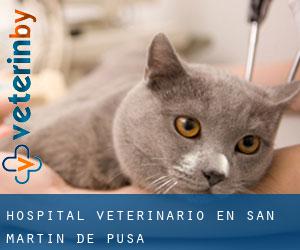 Hospital veterinario en San Martín de Pusa