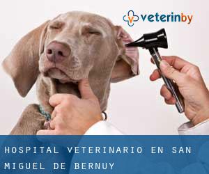 Hospital veterinario en San Miguel de Bernuy