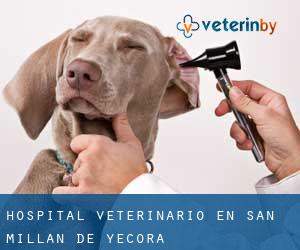 Hospital veterinario en San Millán de Yécora