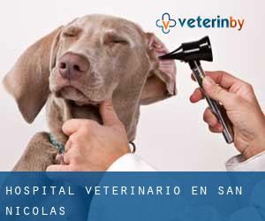 Hospital veterinario en San Nicolás Hospital veterinario en San Nicolás