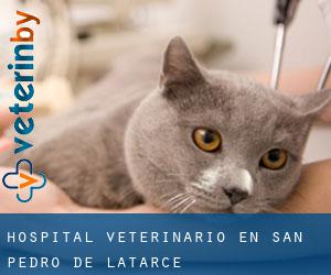 Hospital veterinario en San Pedro de Latarce
