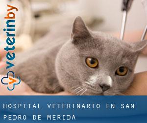 Hospital veterinario en San Pedro de Mérida