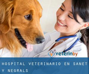 Hospital veterinario en Sanet y Negrals