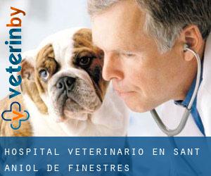 Hospital veterinario en Sant Aniol de Finestres