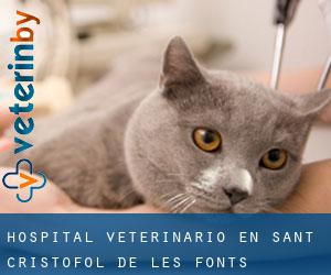 Hospital veterinario en Sant Cristòfol de les Fonts