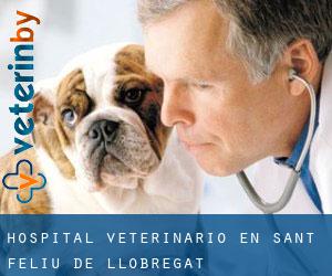 Hospital veterinario en Sant Feliu de Llobregat