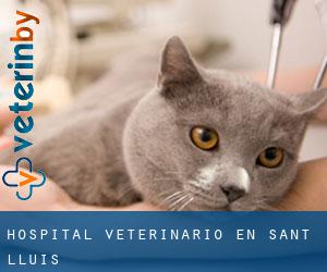 Hospital veterinario en Sant Lluís