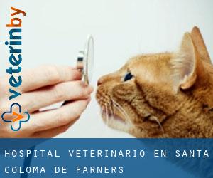 Hospital veterinario en Santa Coloma de Farners