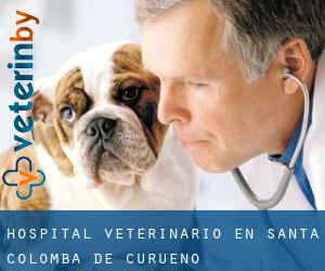 Hospital veterinario en Santa Colomba de Curueño Hospital veterinario en Santa Colomba de Curueño